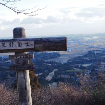 毎日の散歩や運動にはちょうど良い山