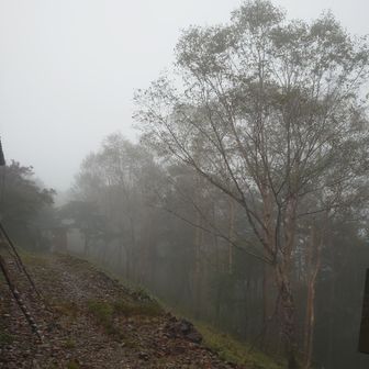 朝からガスガス。５時出発の予定が、
雨が弱まるのを待って⋯こんな時間になってしまった。
