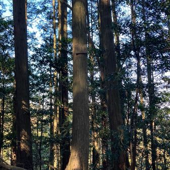 観音岳。
誰かがゆずをお供え。使い方あってる？笑