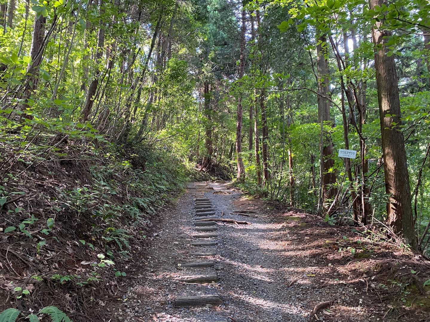 文殊山 | 泰澄が開いた知恵の山、雲海と新幹線を見下ろす福井のソウルマウンテンの写真