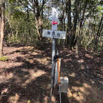 よく、杖を無くします😅
3本目購入したら2本目が出てきました🤭