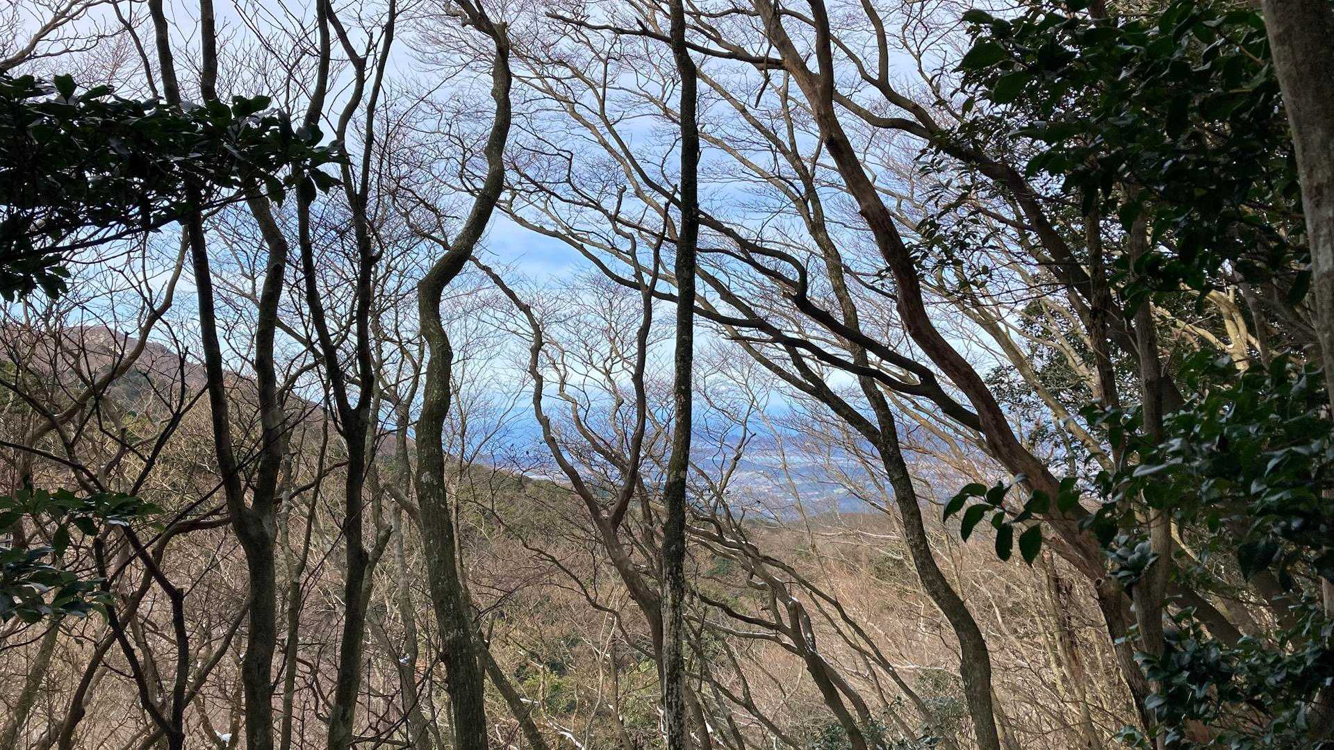 所々、落葉した木々の隙間から絶景✨が
チラ見え😳山頂の眺めにも期待大😆