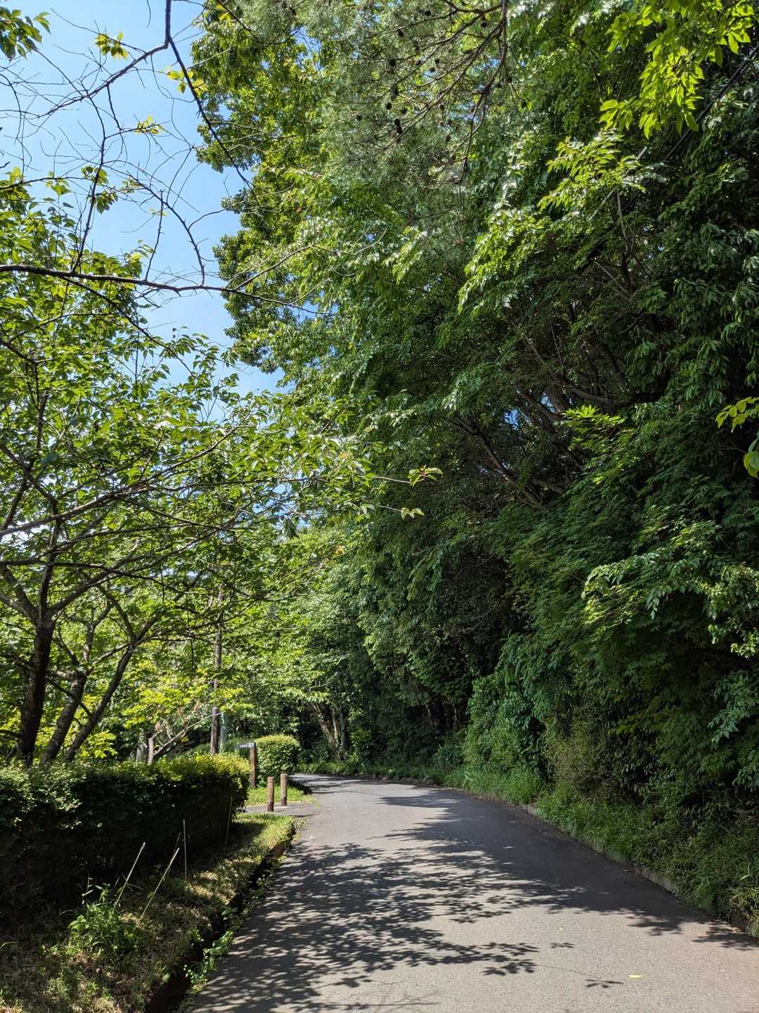 今日も元気にレッツゴー✊