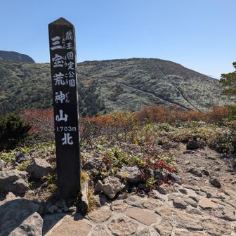 登山道を背景に、、📸