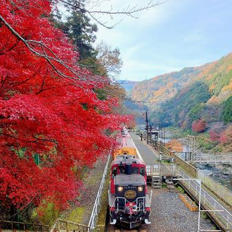 トロッコ保津峡辺りの紅葉