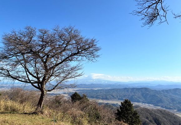 京羅木山（島根・473m）| 登山ルート・天気 | YAMAP / ヤマップ