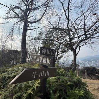あっという間に第2ピークで神田山