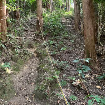 六ヶ岳山頂から下ってきたが、だいぶ下り、振り返り、急坂。