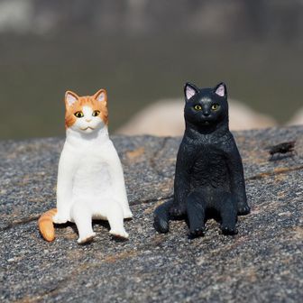 pon(夫) ＆ 連れ(妻)