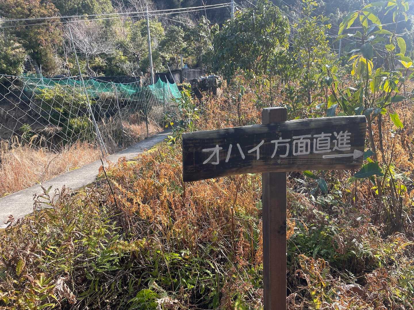 ようやく登山口