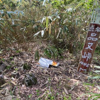 日の出山頂上　四等三角点　品又峠　1,045.82m