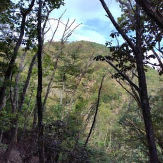 今倉山東峰かな？