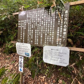 お楽しみの渡し船