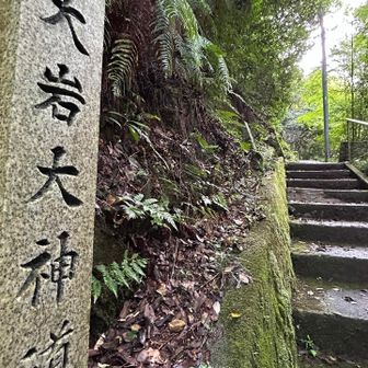 ここから少し急な階段が続く〜