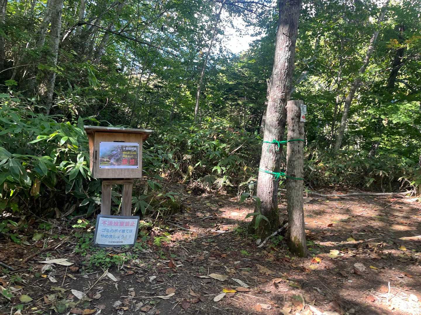 無事下山。