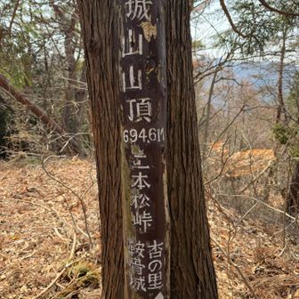 天城山694.6mに着きました