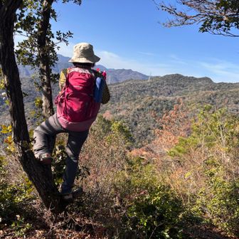 後ろからパシャ！　
上手い事写真撮ってますわ〜😆
