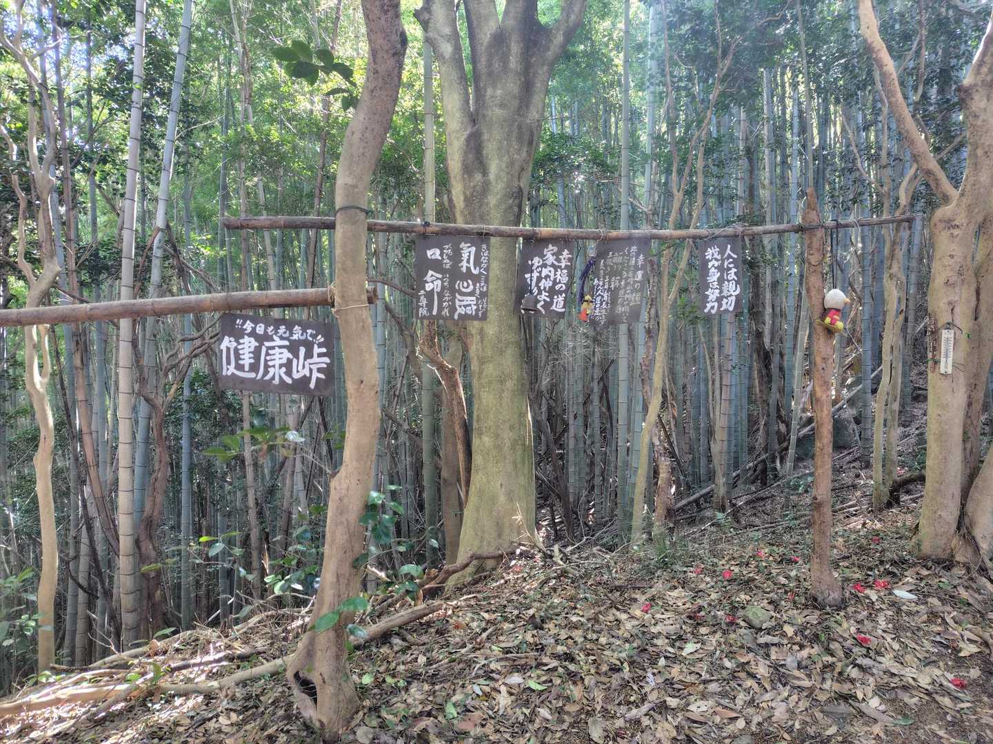 ラストの高塔山へ向かっています。
YAMAPにはない峠がありました😁