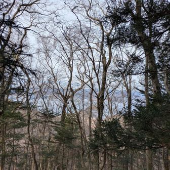 微妙な景色だなあ