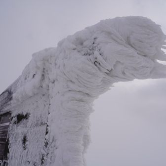 こんなになるんだ～