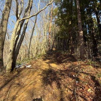 いきなり雪が無くなる。しばらくツボ足で登る。