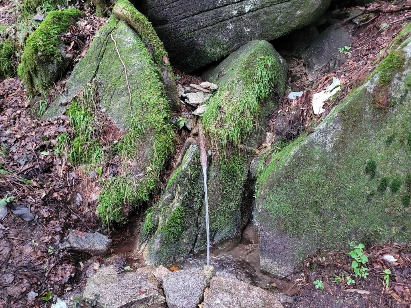 蓬田岳 往復コースの写真