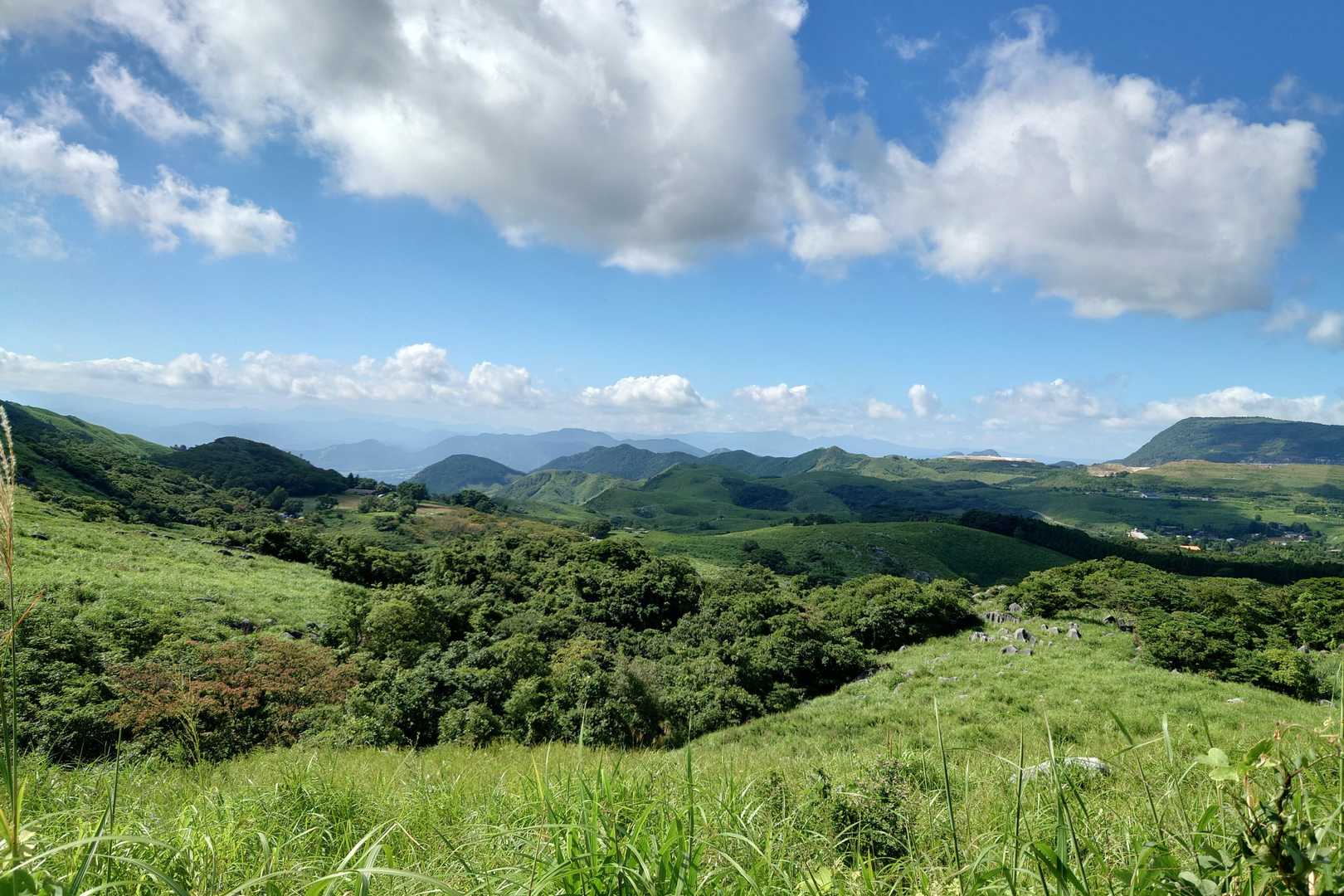 大平山-中峠 周回コースの写真
