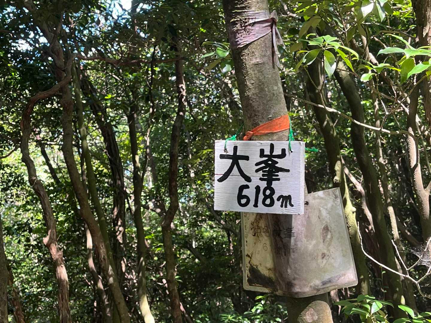 最終ピーク
おなかすいたから、すぐにピストンしましたとさ（笑）