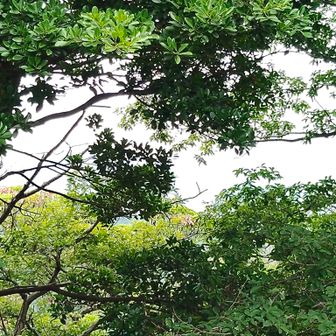 ☔がポツポツ、眺望はほぼなし…帰ろ