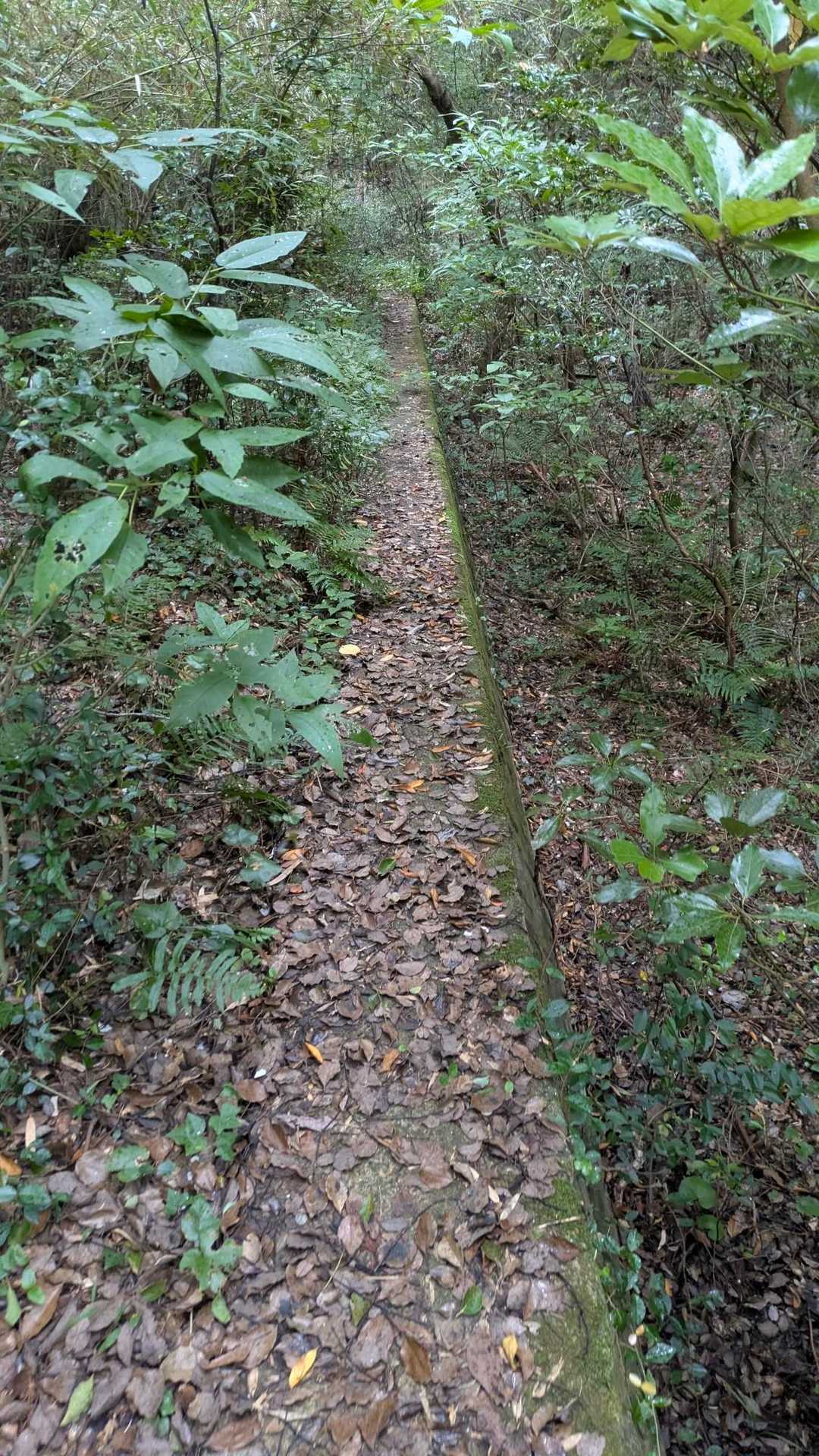 楽しー