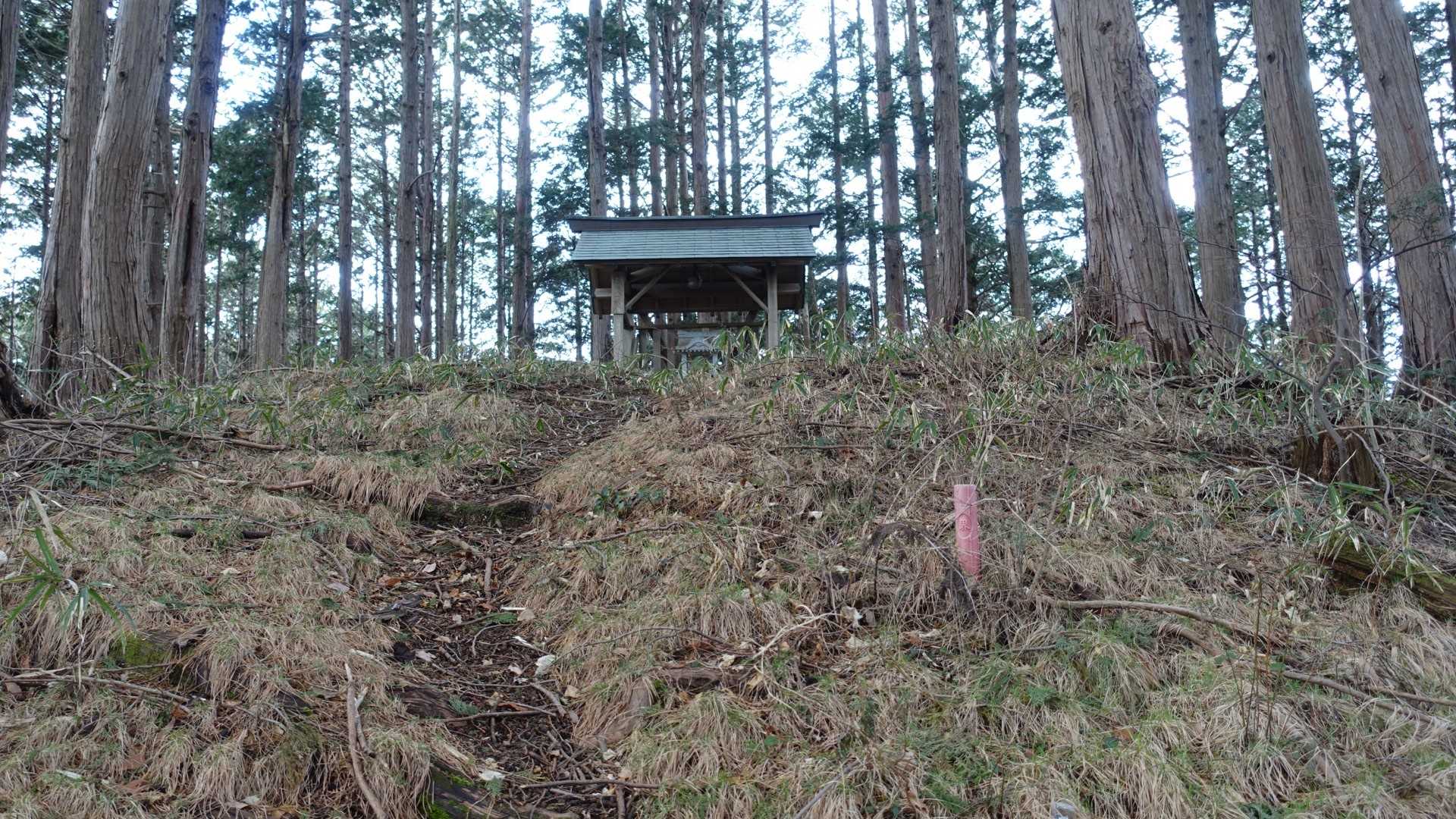 山頂の神社が見えて来ました。