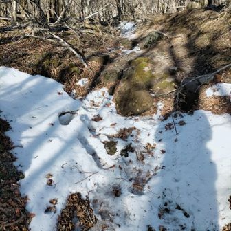 雪が出てきました
スパイク付けましょうかね