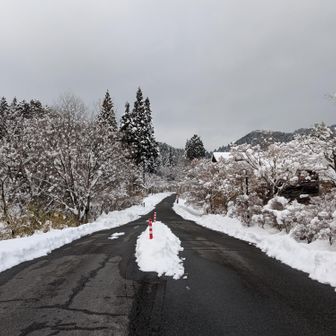 お天気は、曇り☁️
風は無く、穏やかです🤍