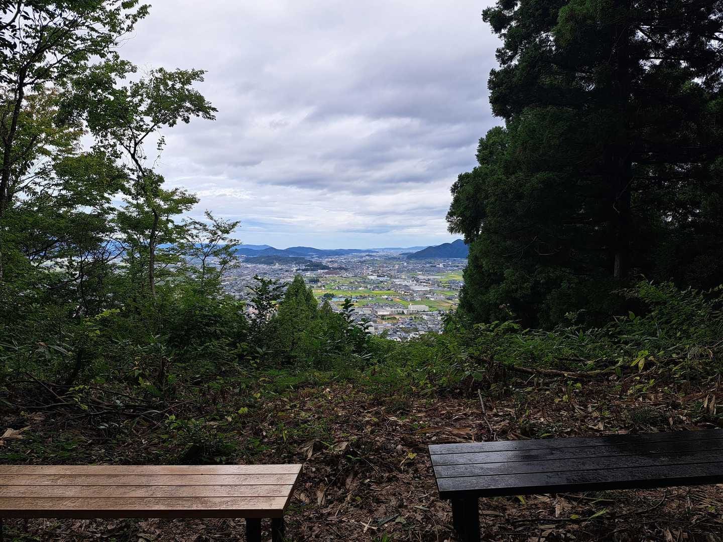 サンドームが見えます👍