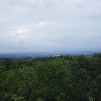 展望台から
西👀