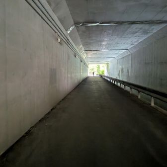 高速道路の下を横切ってます