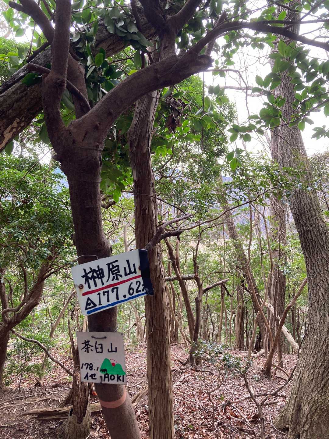 榊原山⛰