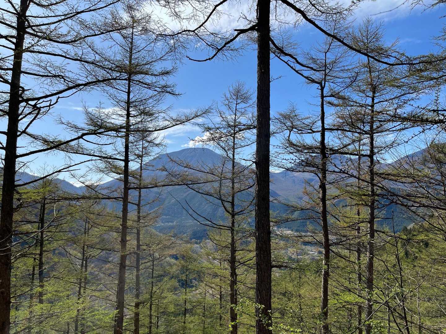 しばらくなだらかな道
　　男体山をみながら歩ける(^^)