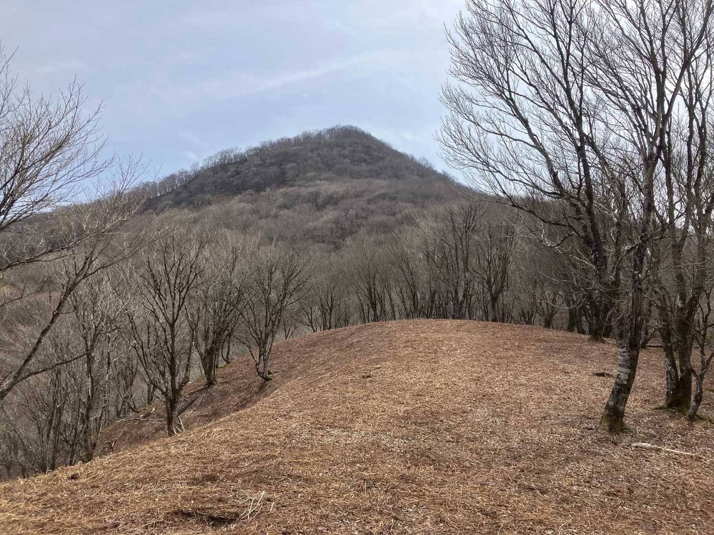 鍋尻山まで登り返します