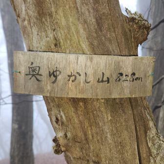 奥ゆかし山に到着。撮影は黒くなりそうなので、フラッシュ使用。