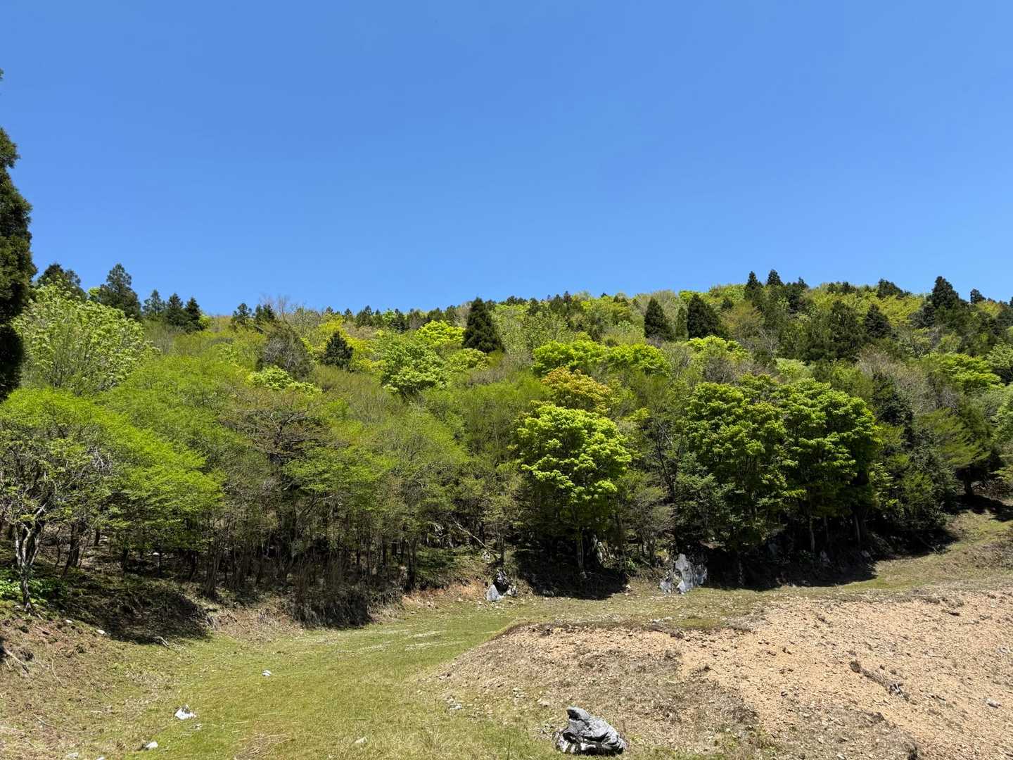 目に優しい緑🌿‬
この緑を眺めてたら、老眼も治らないかなぁ…
気持ち的には3歳若返った気がする(*´˘`*)
