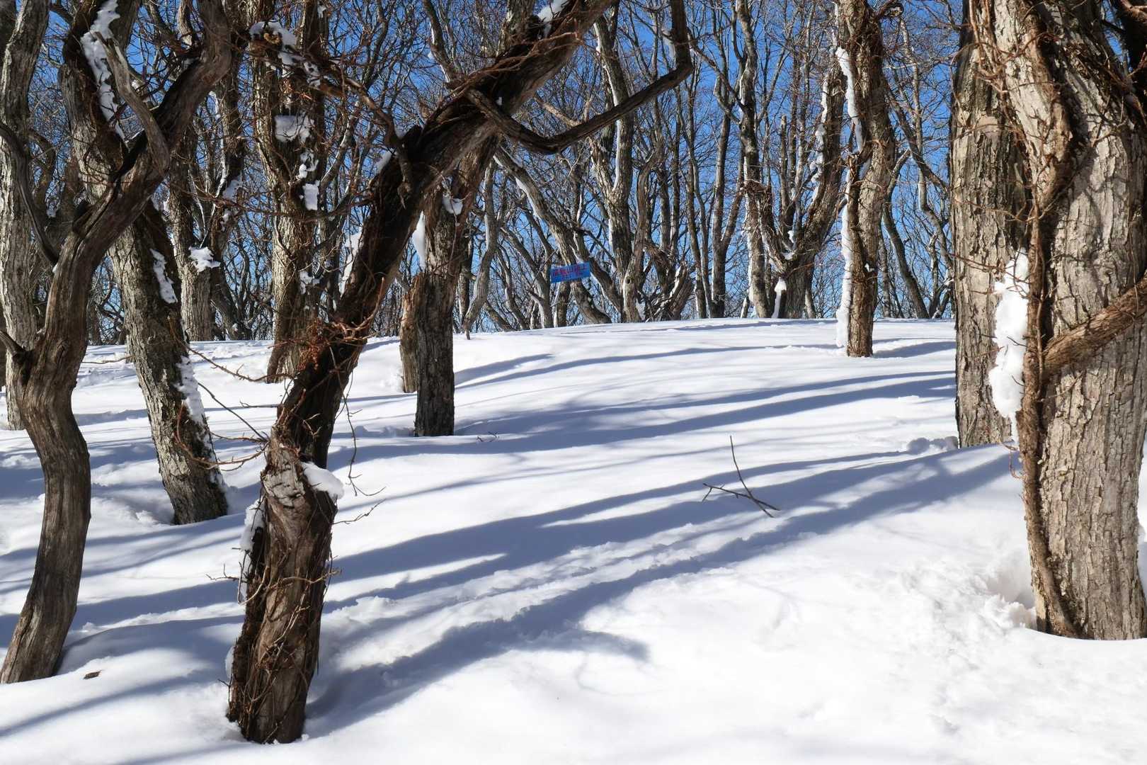 屋敷山頂上です