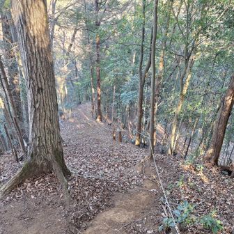 虎丸山直下は傾斜が急！
振り返ってパチリ📷
写真だと伝わらないですね…