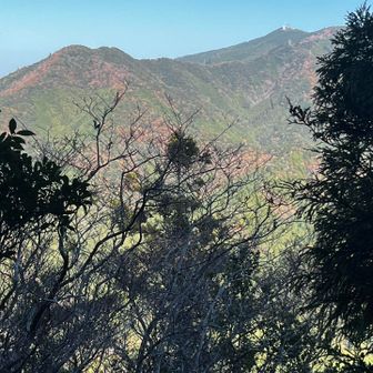 向かいに浅間山が見える