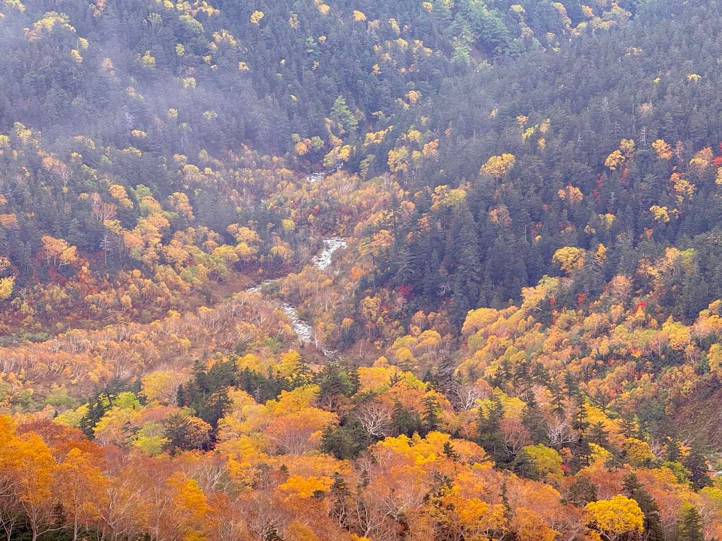 双六岳-丸山-三俣蓮華岳-鷲羽岳 周回コースの写真