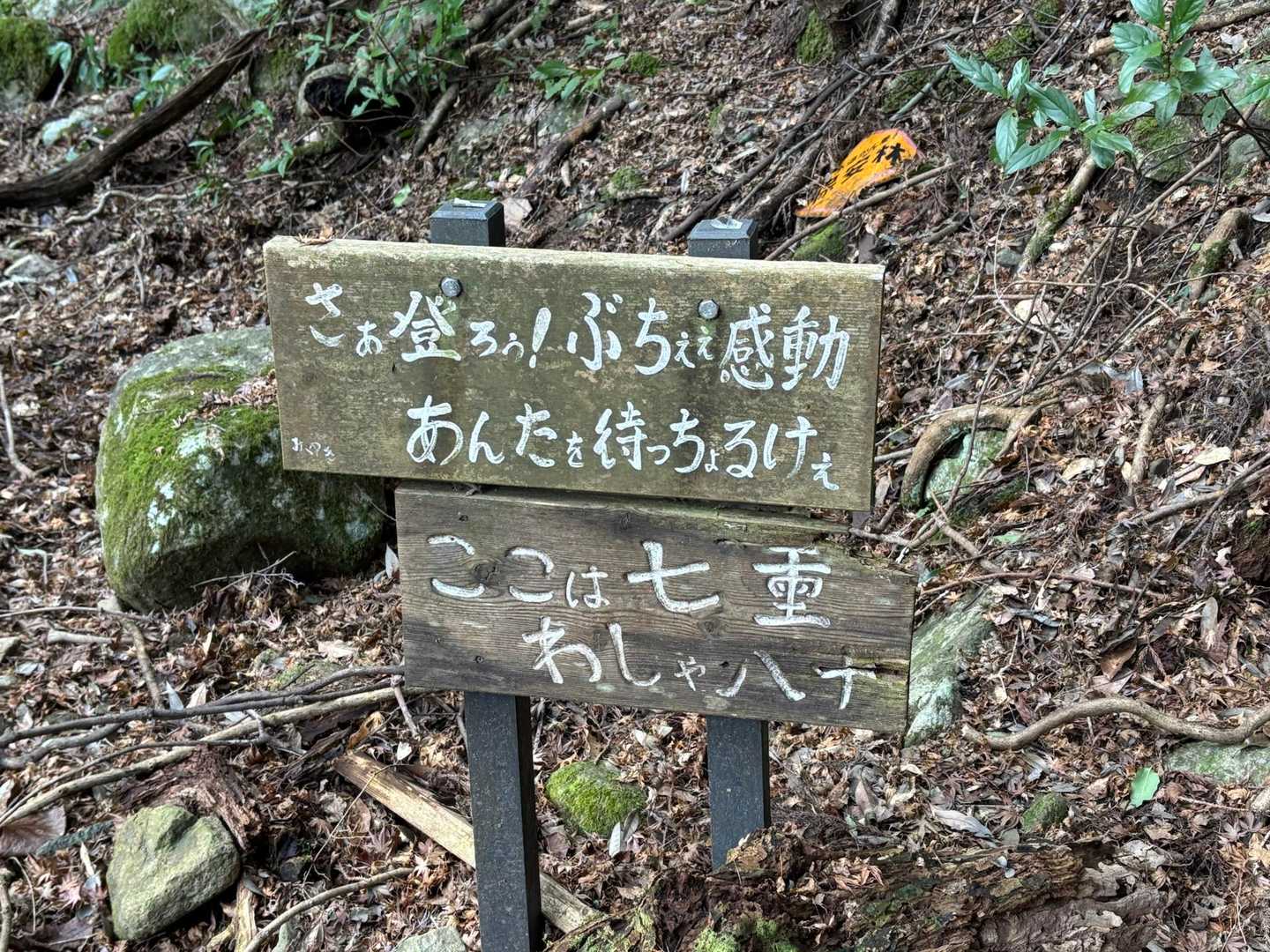 八十まで登れるのか？　　オレ？