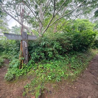分岐を右で赤埴山へ