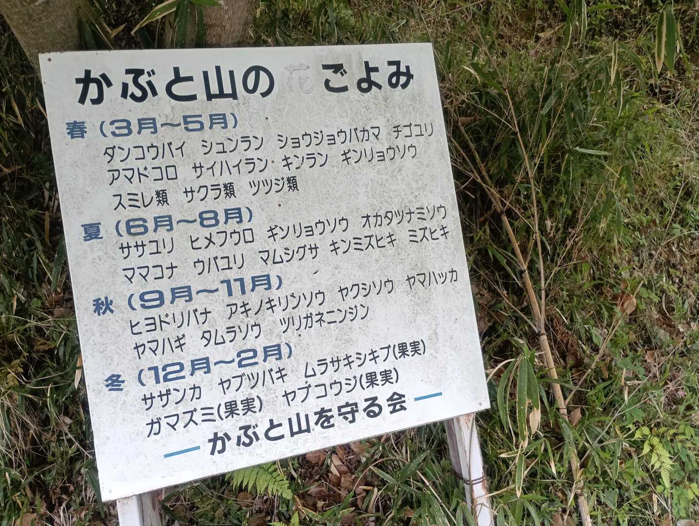 季節の花々が楽しめるようです。
山全体の植生から、紅葉🍁はかなり良い感じの場所みたい😆