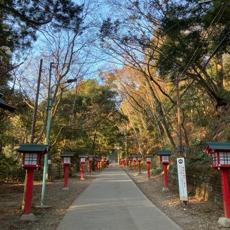 静かで落ち着きます
