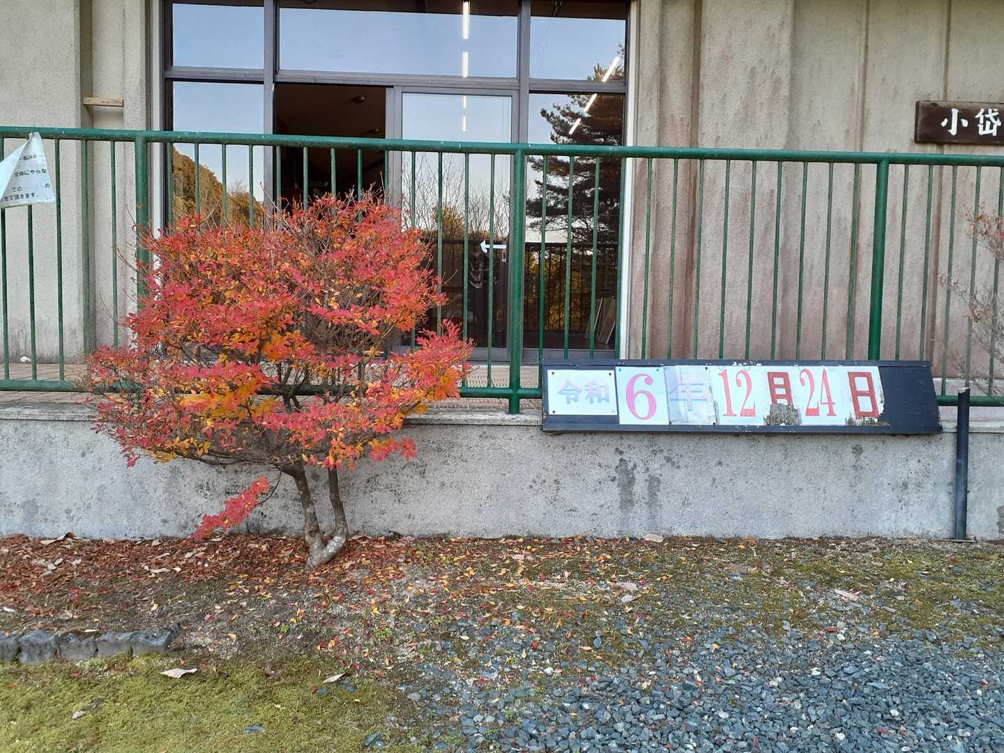 丸山キャンプ場登山口-丸山 周回コースの写真